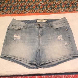 Torrid Shorts Size 12 Denim
